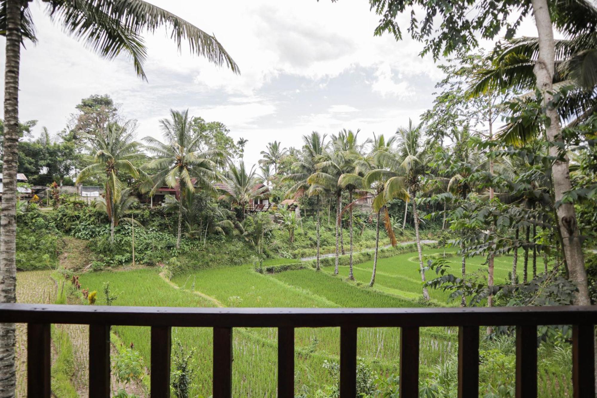 Nea Cottage Lombok Tetebatu Exterior photo