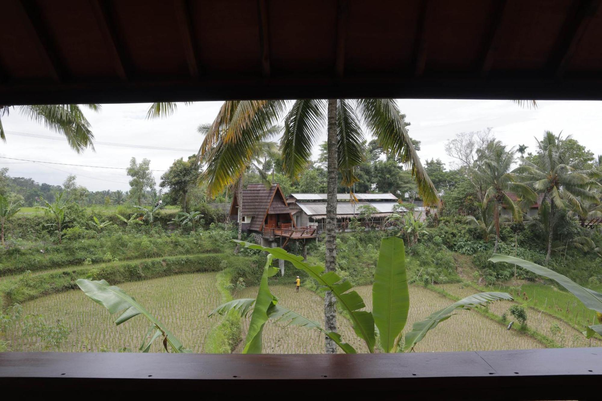 Nea Cottage Lombok Tetebatu Exterior photo