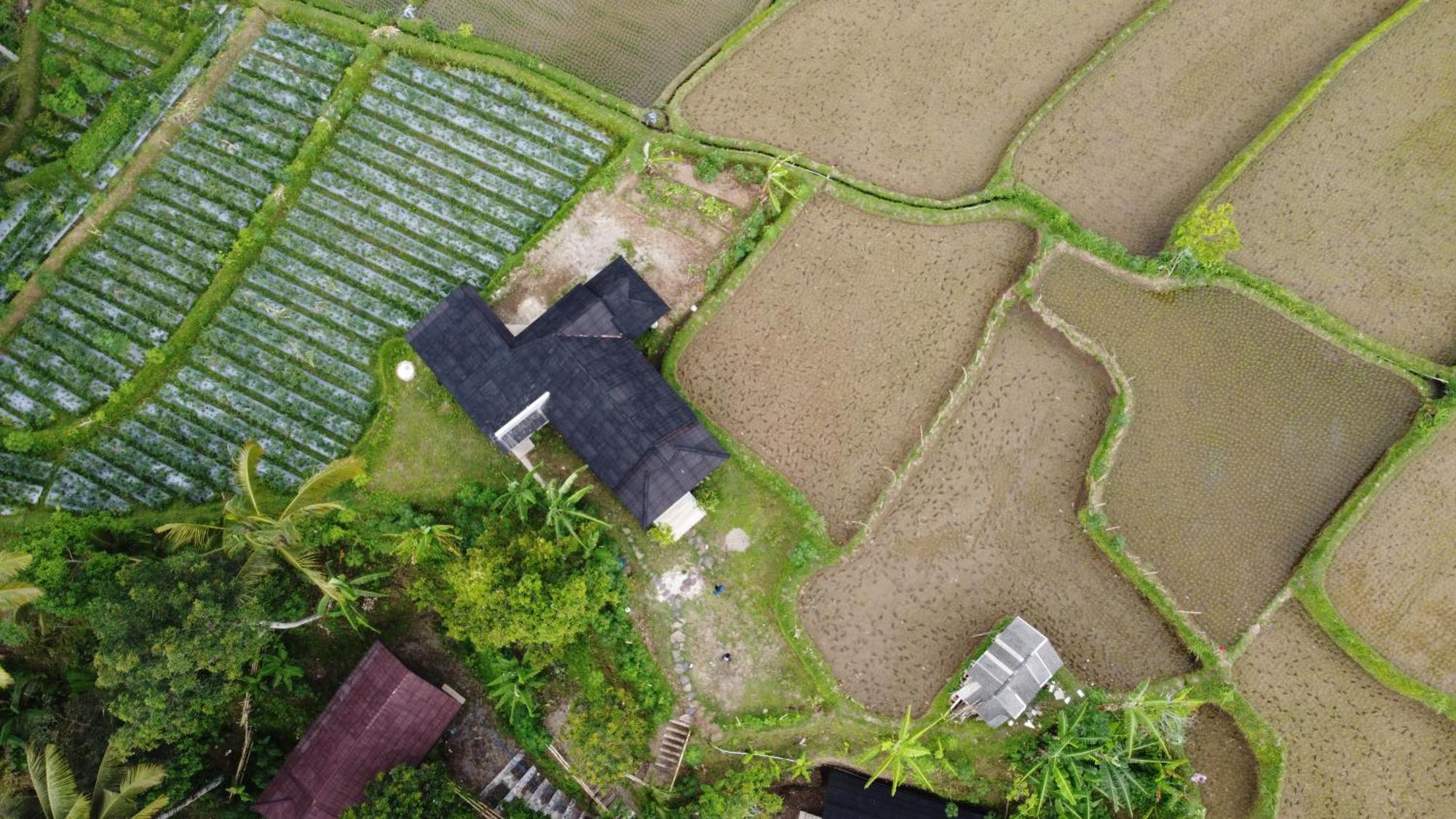 Nea Cottage Lombok Tetebatu Exterior photo