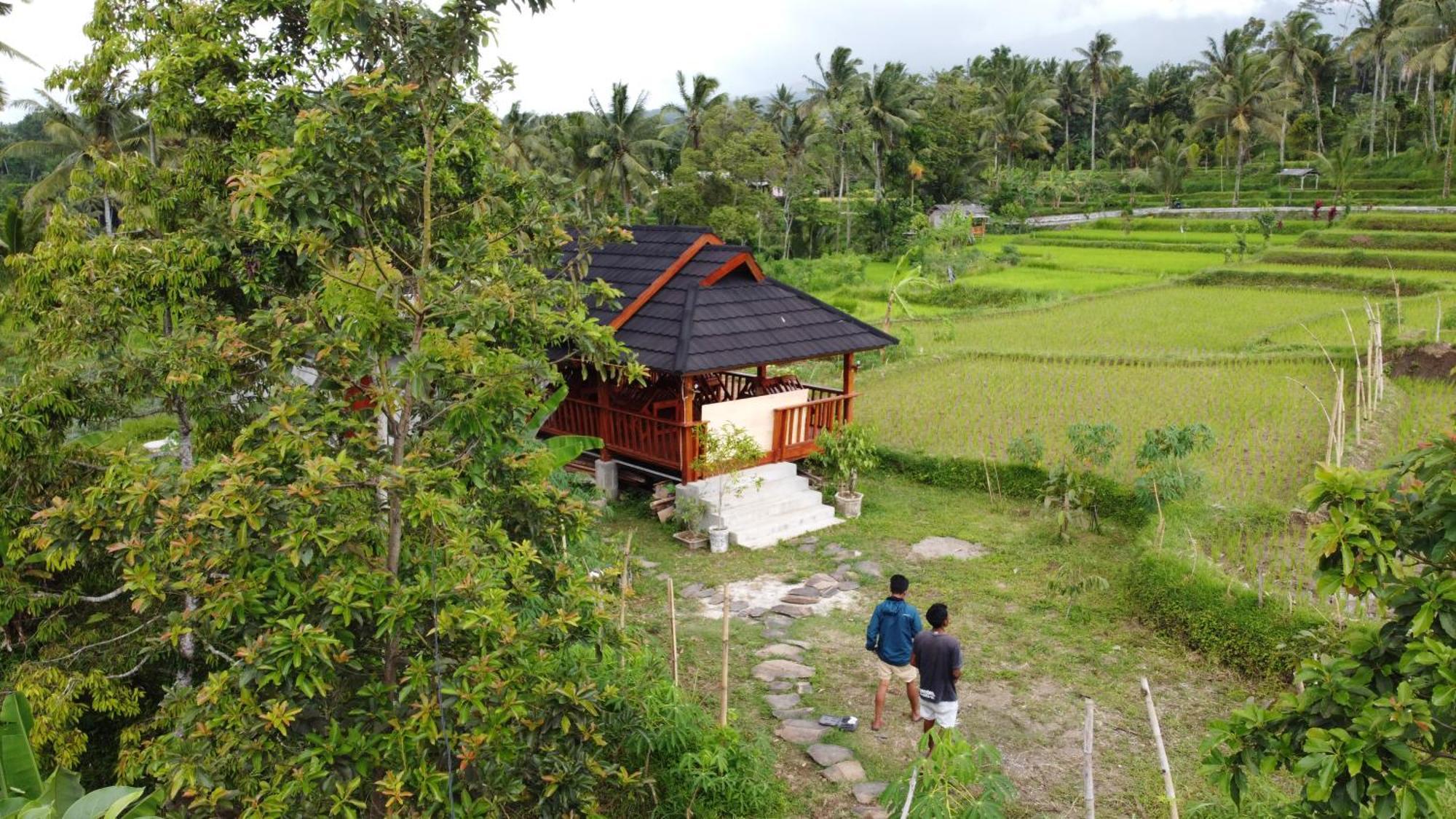 Nea Cottage Lombok Tetebatu Exterior photo