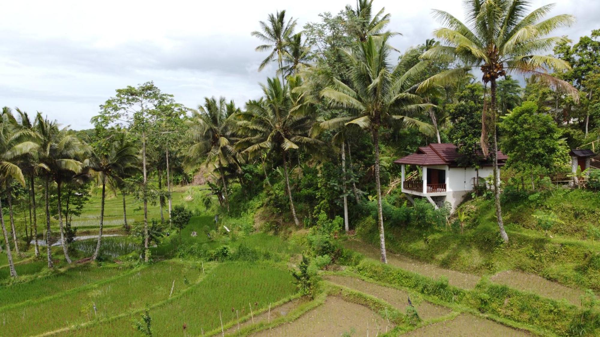 Nea Cottage Lombok Tetebatu Exterior photo