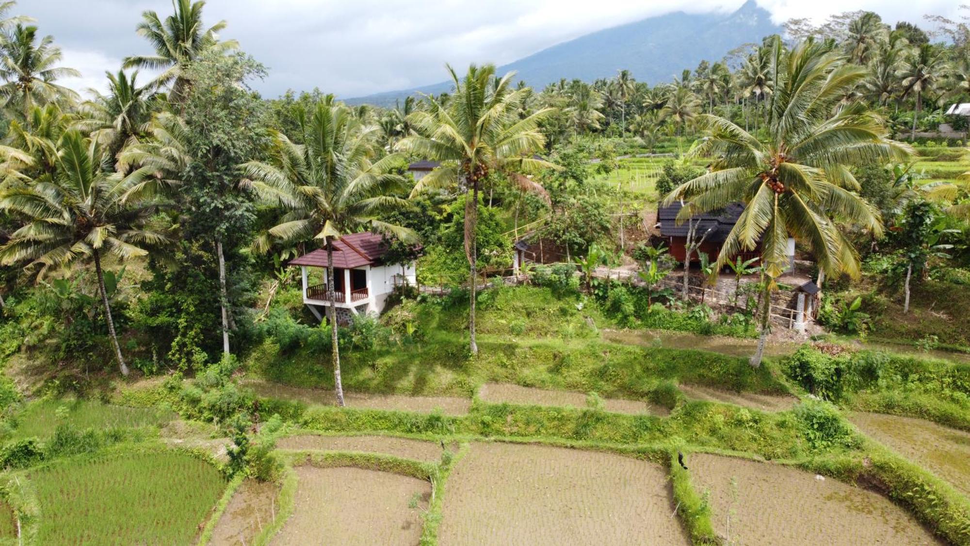 Nea Cottage Lombok Tetebatu Exterior photo
