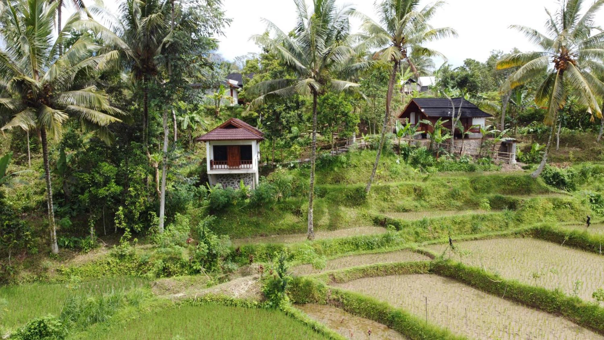 Nea Cottage Lombok Tetebatu Exterior photo