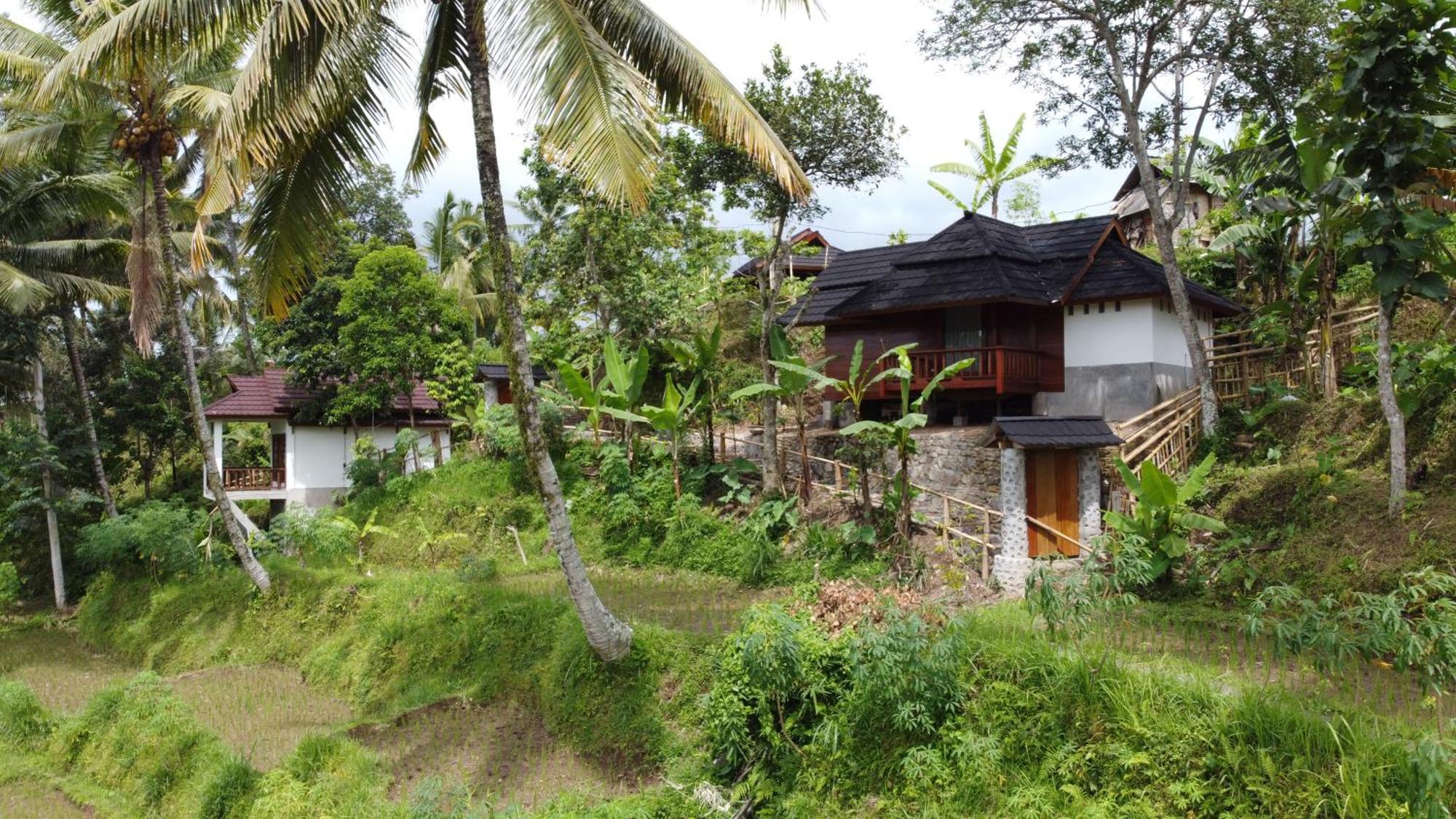 Nea Cottage Lombok Tetebatu Exterior photo