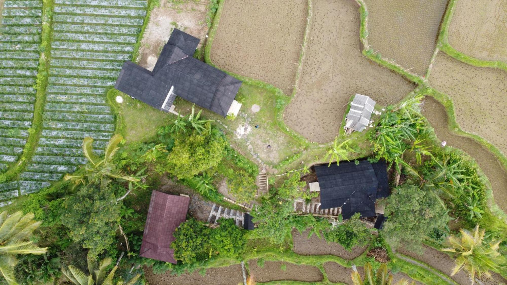 Nea Cottage Lombok Tetebatu Exterior photo