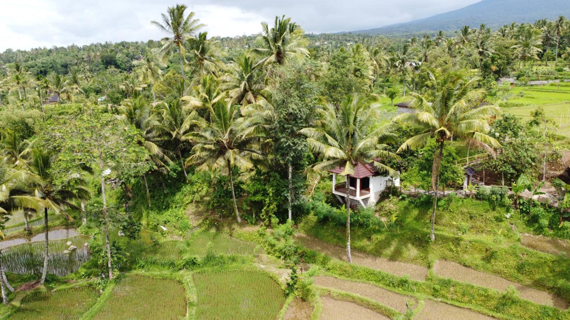 Nea Cottage Lombok Tetebatu Exterior photo
