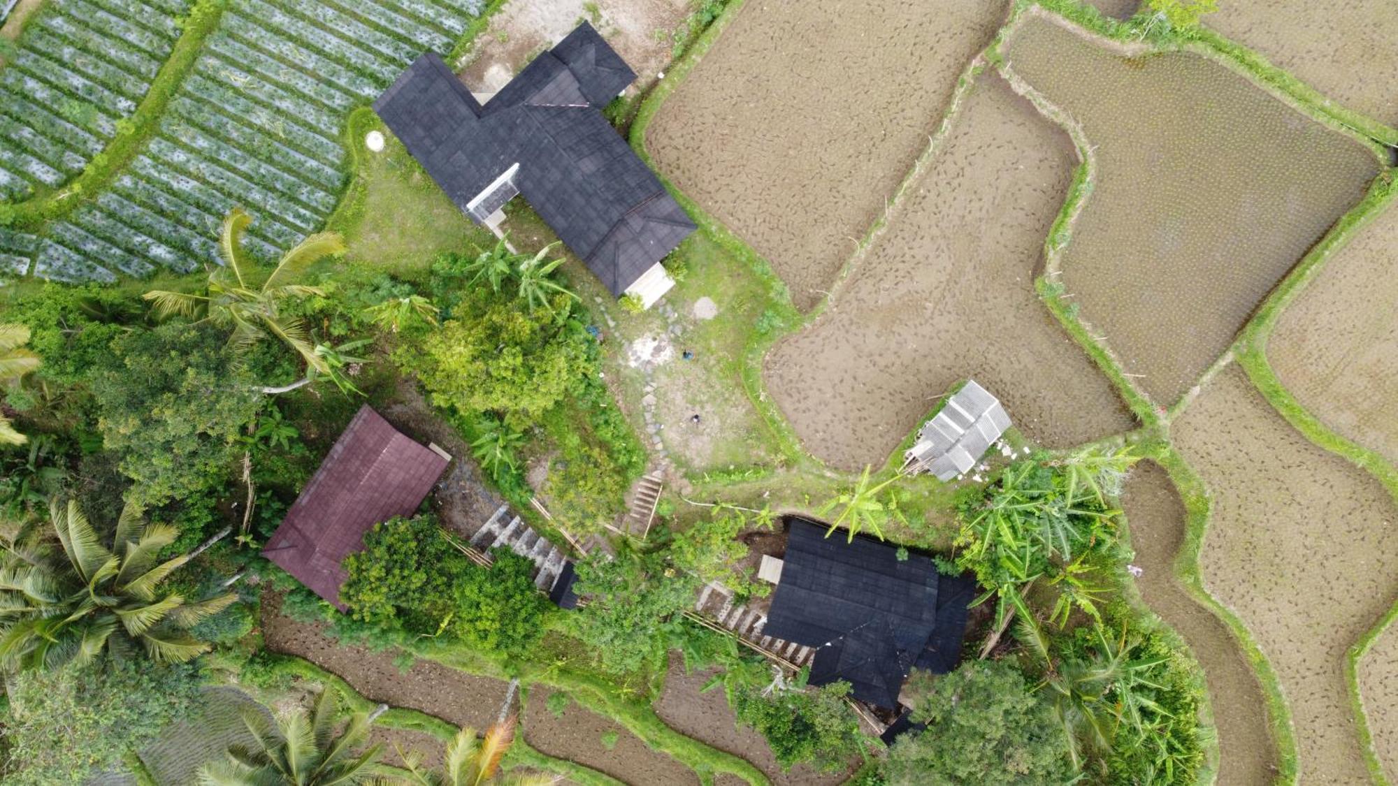 Nea Cottage Lombok Tetebatu Exterior photo