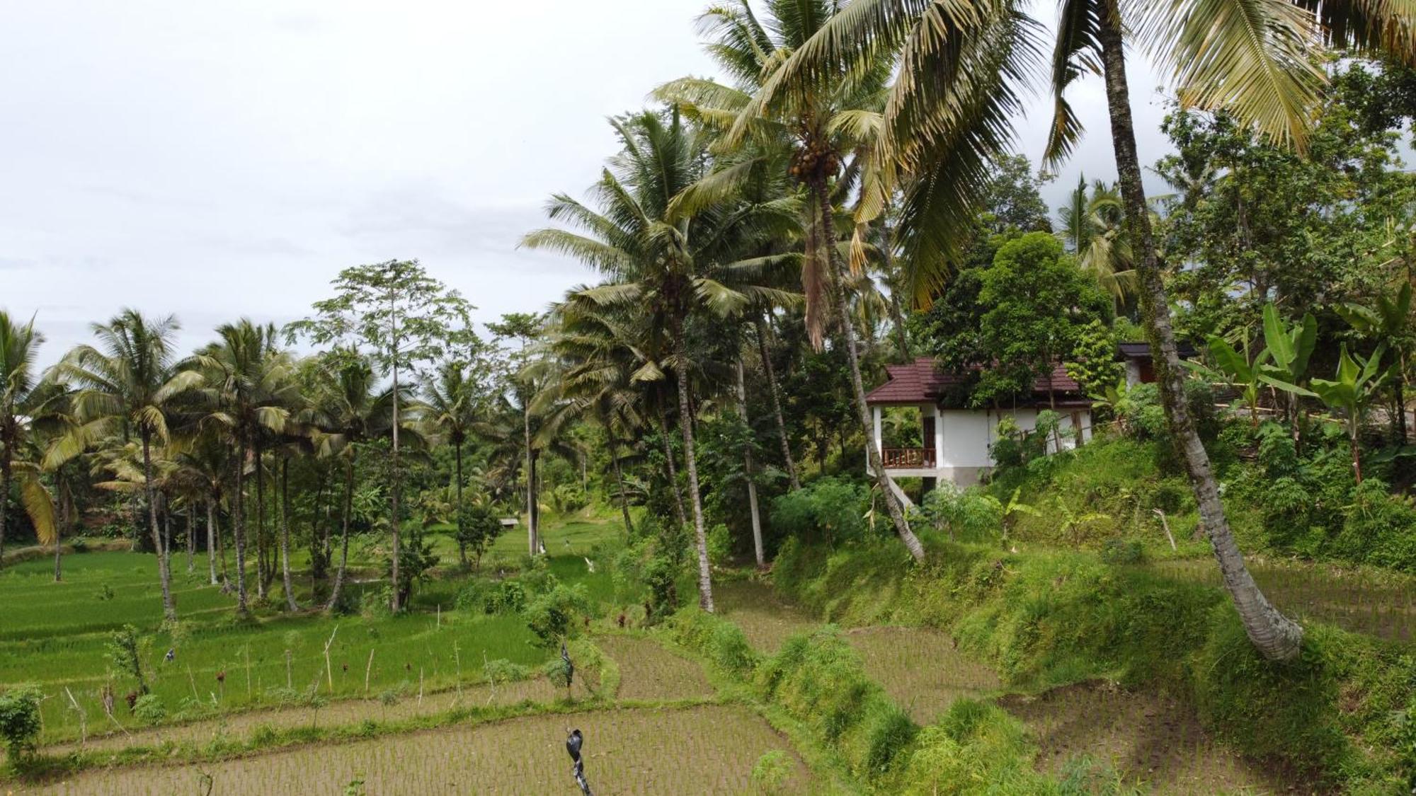 Nea Cottage Lombok Tetebatu Exterior photo