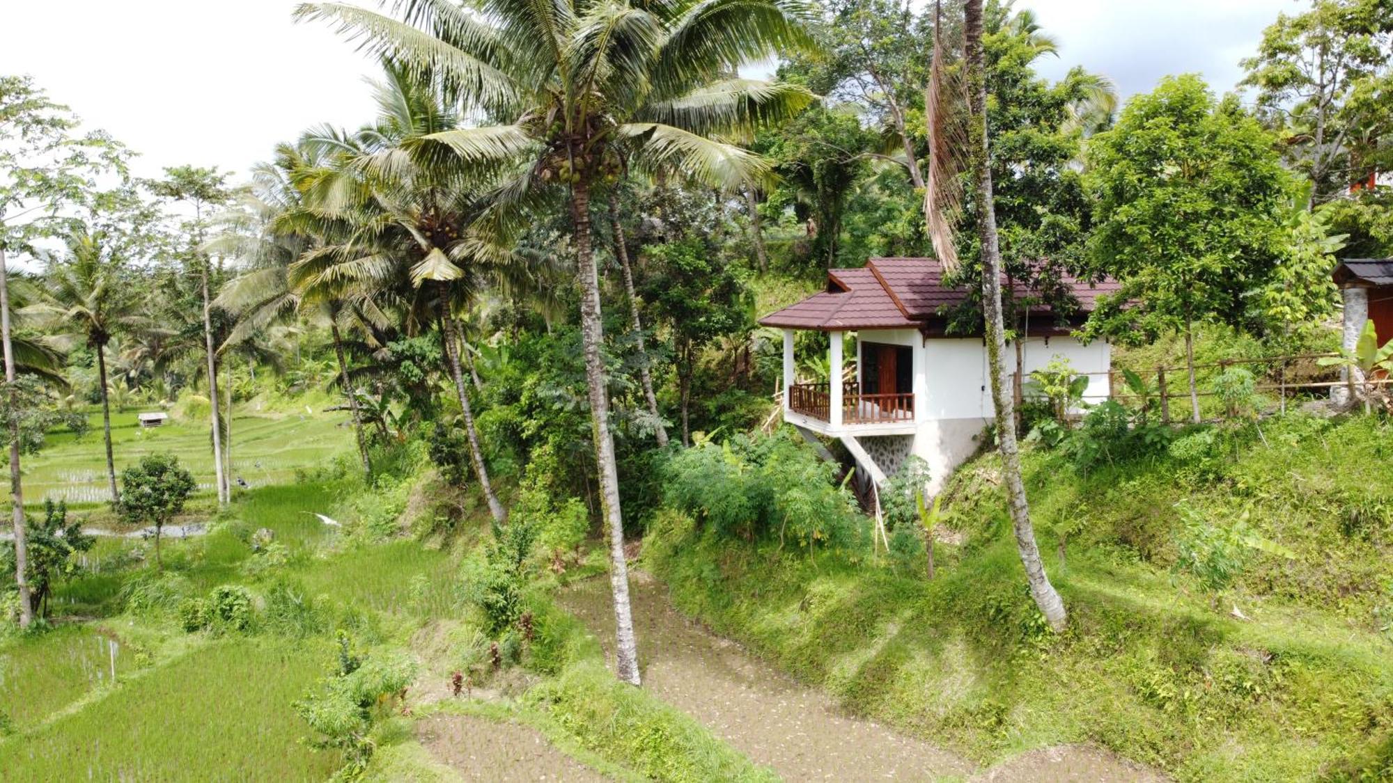 Nea Cottage Lombok Tetebatu Exterior photo