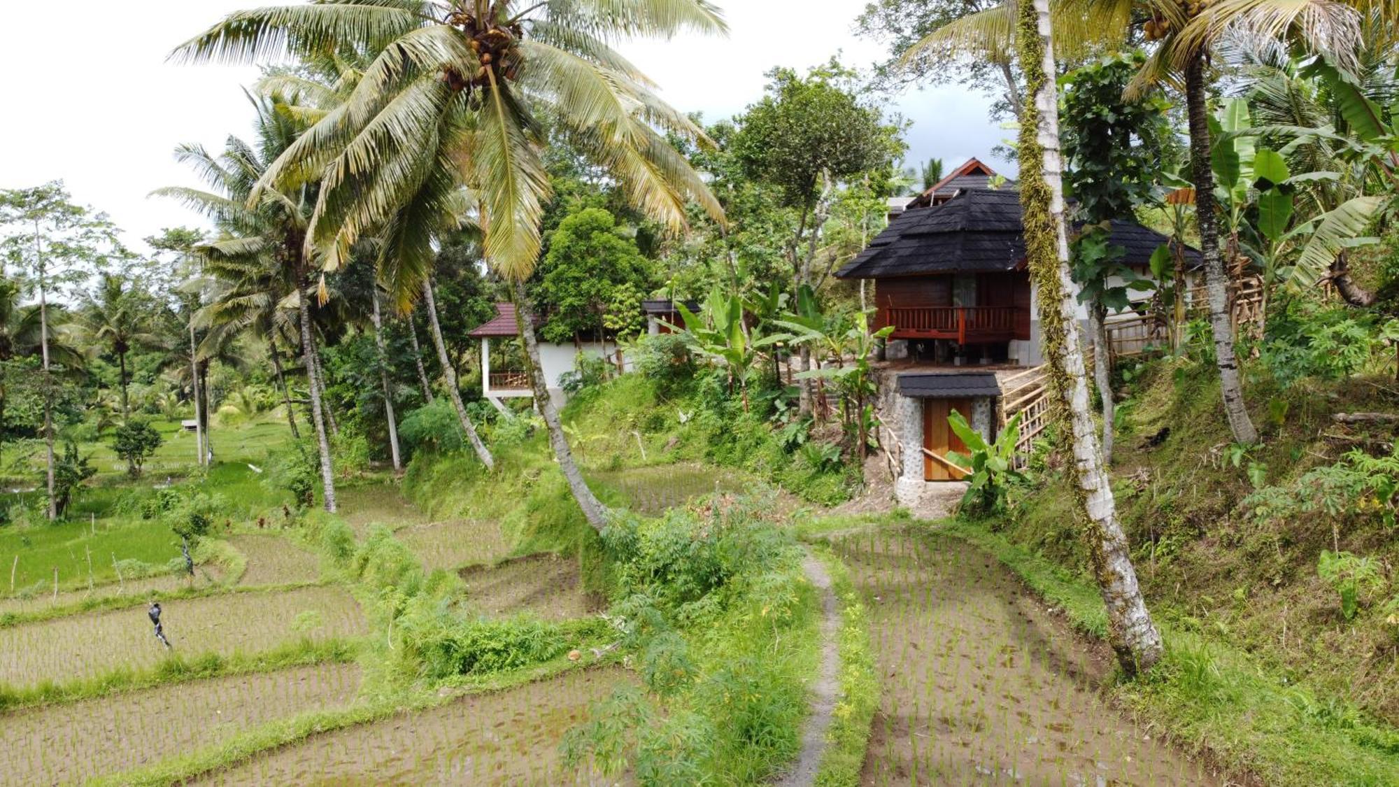 Nea Cottage Lombok Tetebatu Exterior photo