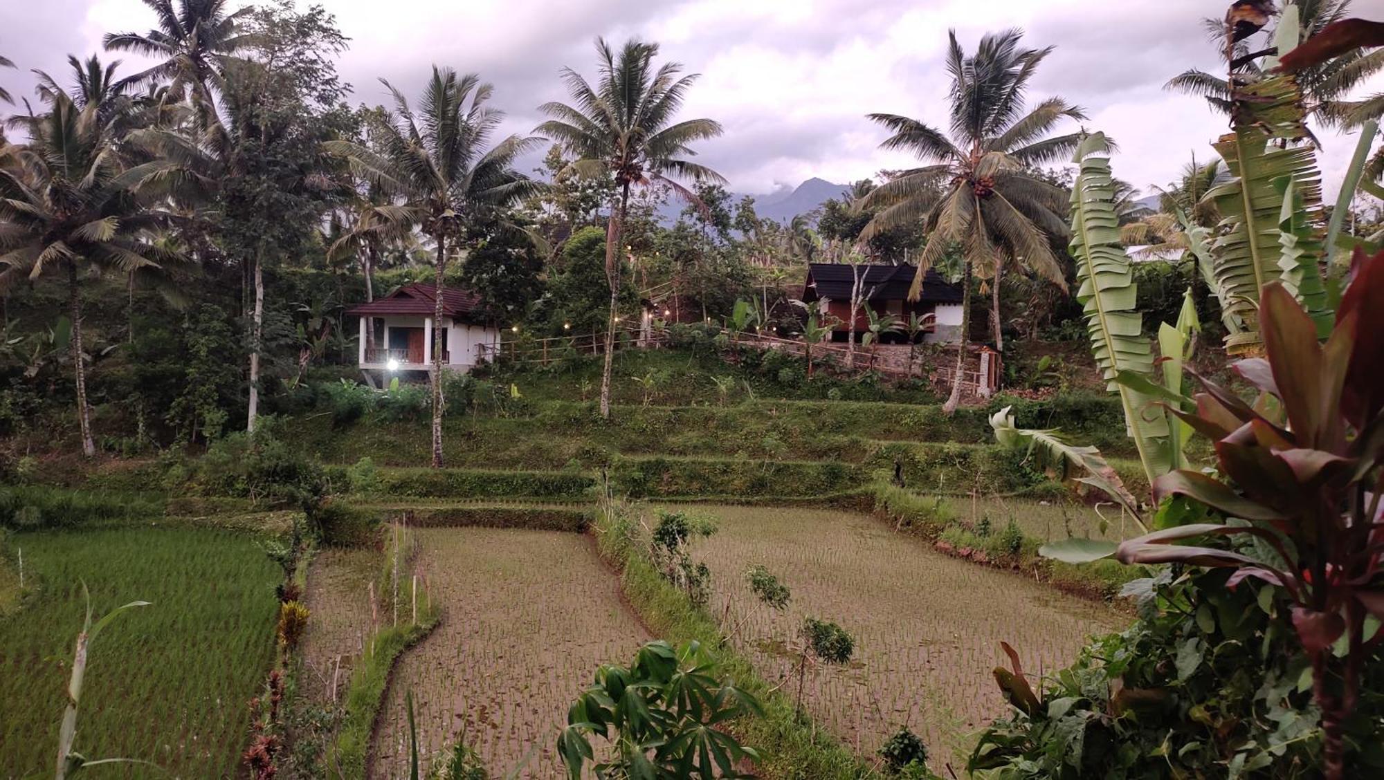 Nea Cottage Lombok Tetebatu Exterior photo