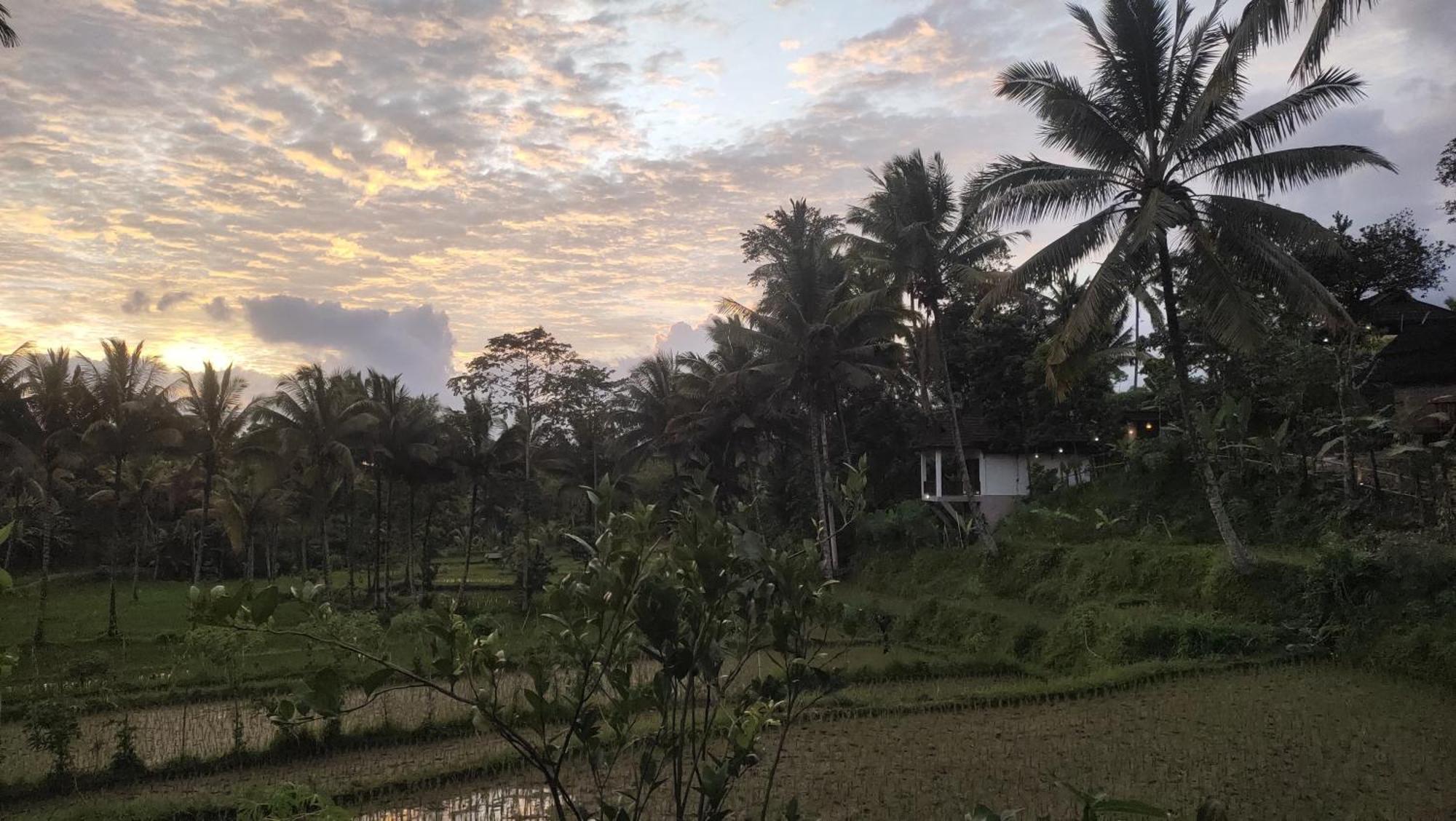 Nea Cottage Lombok Tetebatu Exterior photo
