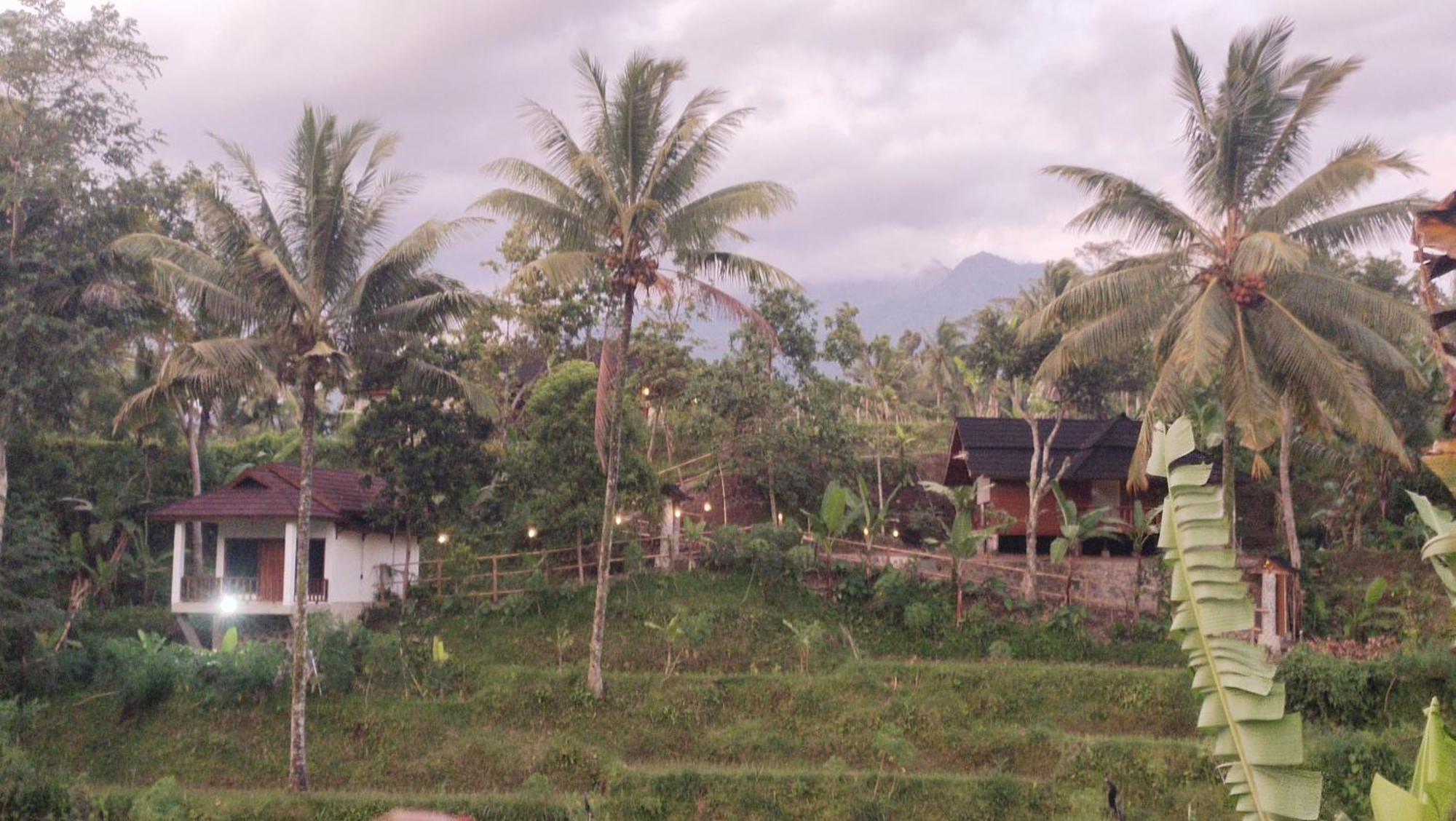 Nea Cottage Lombok Tetebatu Exterior photo