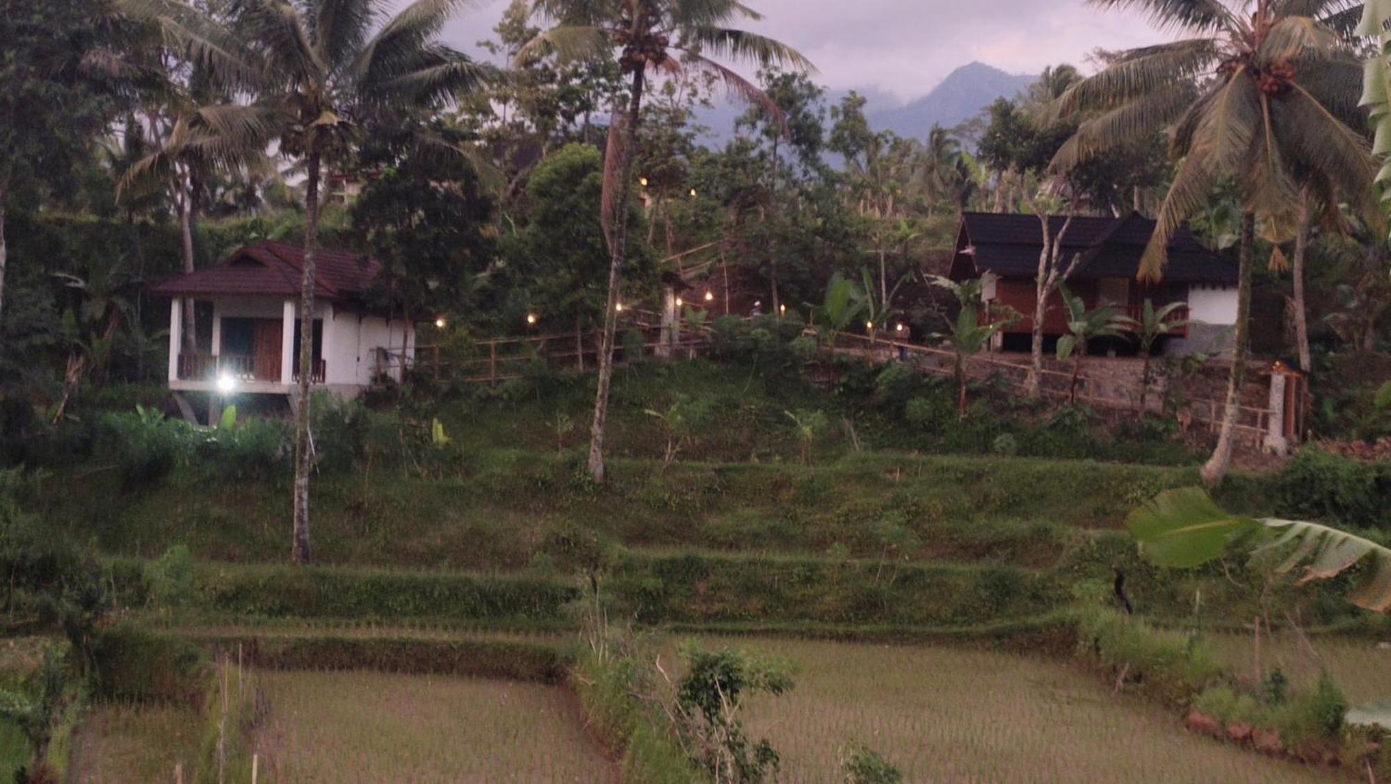 Nea Cottage Lombok Tetebatu Exterior photo