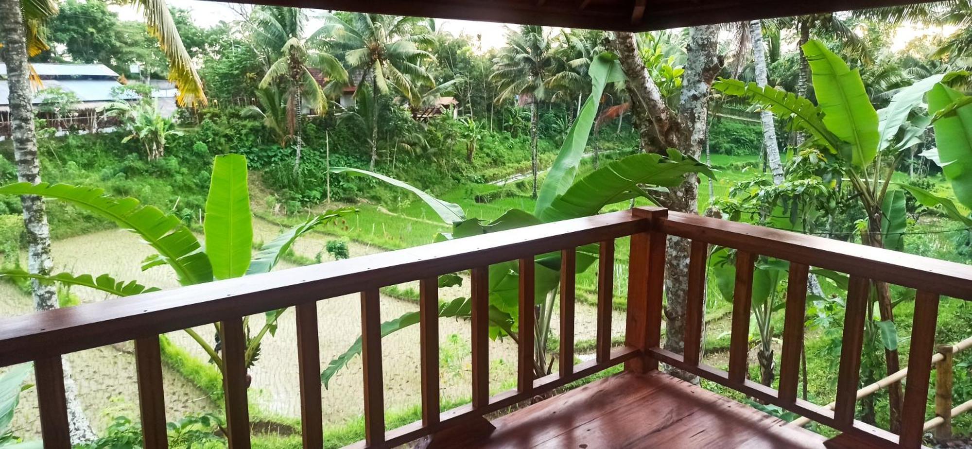 Nea Cottage Lombok Tetebatu Exterior photo